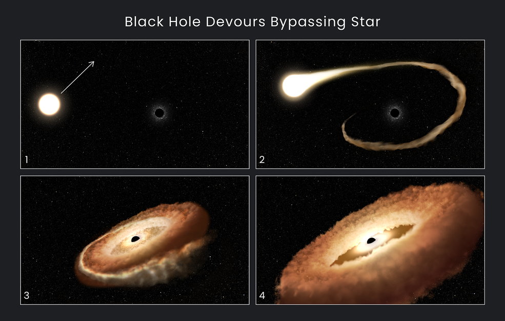 圖一、黑洞吞噬恆星示意圖，圖片取自NASA。